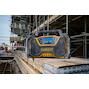 dewalt_dcr029_qw