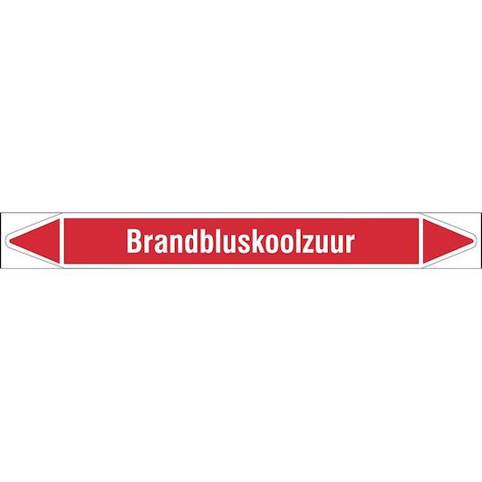 brady_n003994