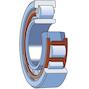 skf_srvnu409