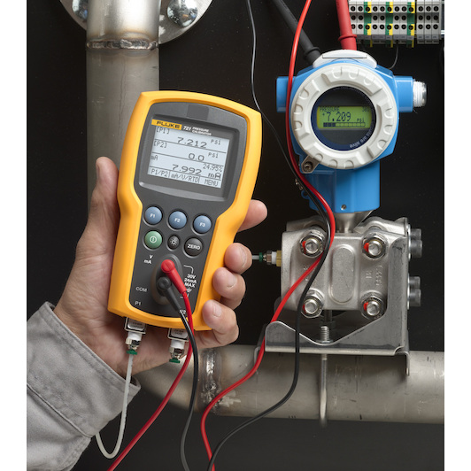 fluke_4353330_6