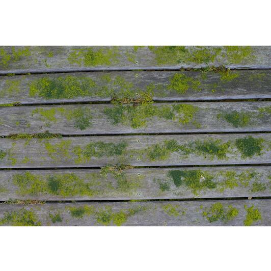 ryobi_5132004737