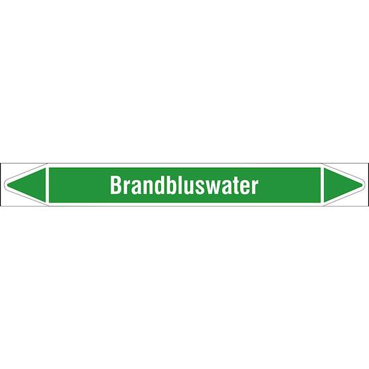 brady_n005799