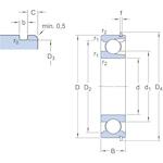 skf_207nr_2