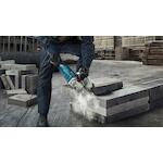 bosch_06018c3100