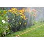 gardena_00995_20