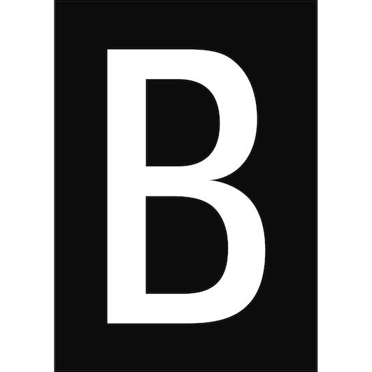 brady_911095