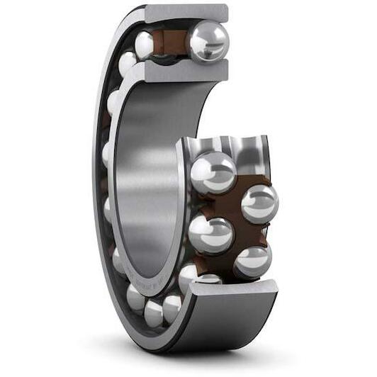skf_1204ektn9