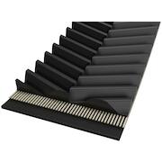 conti_b_2520