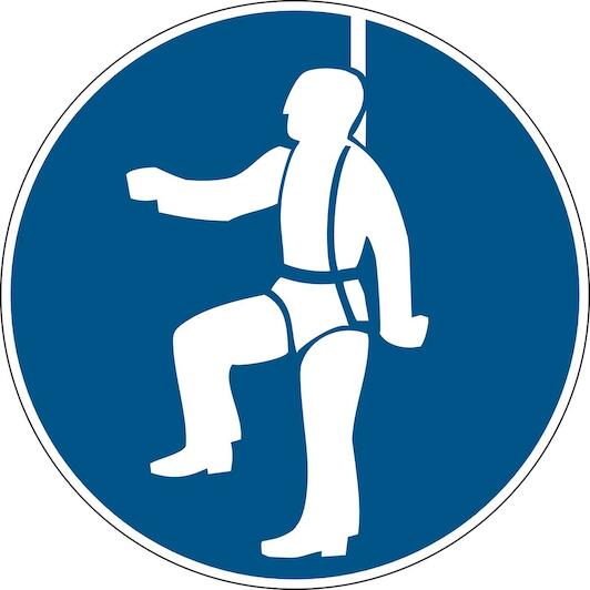 brady_250145