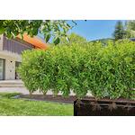 gardena_13503_20