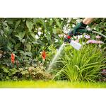 bosch_f016800595
