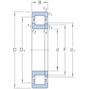 skf_nup2215ecj_2