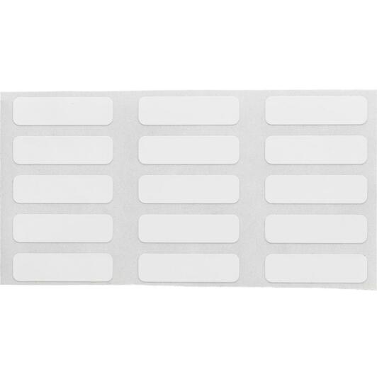 brady_030119_4