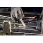 pferd_33400008_2