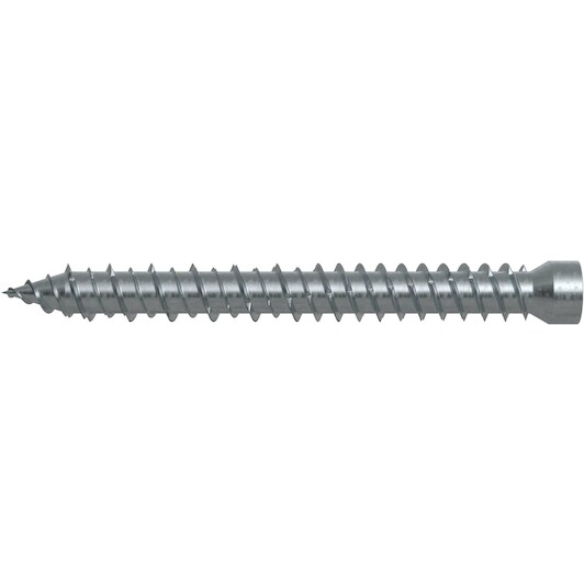 fischer_532908