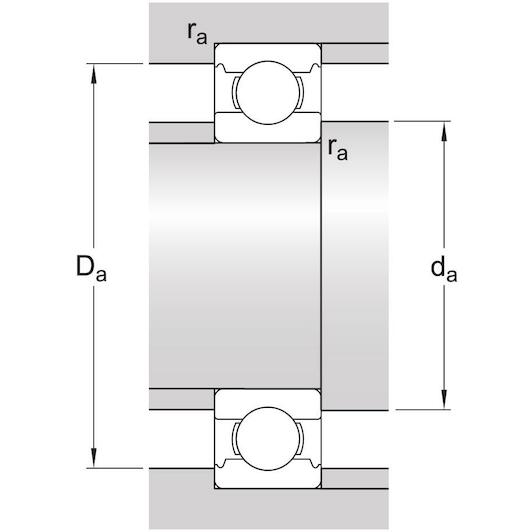 skf_6007_3