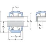 skf_snln3036_2