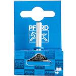 pferd_43701006_2