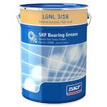 skf_lgnl318