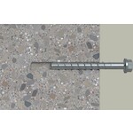 fischer_536873_9