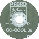pferd_64189101_2