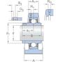 skf_ucpa210h_2