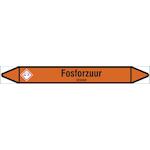 brady_n006473