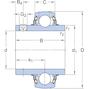 skf_yar209_110_2f_2