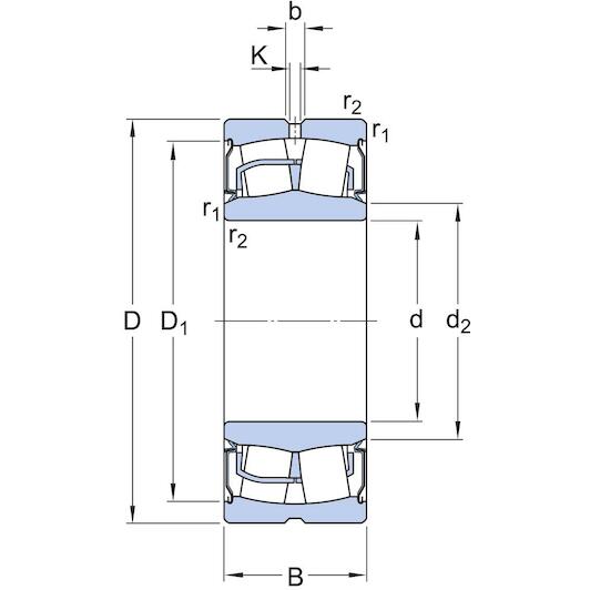 skf_bs2_2213_2rsvt143_2