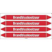 brady_n003989